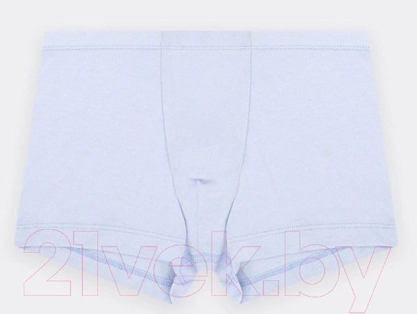 Изображение товара Комплект трусов детских Mark Formelle 413344-2 (р.104/110-56-51, голубой)