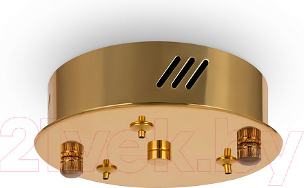 Изображение товара Потолочный светильник Freya Tier FR5257PL-L17G