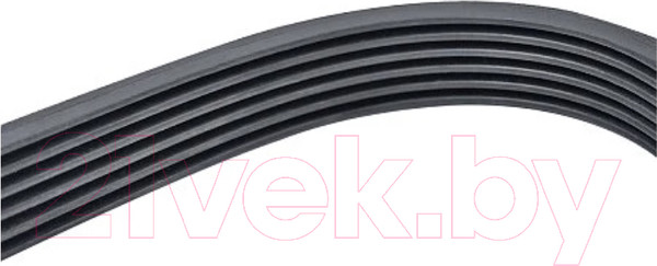 Изображение товара Ремень для станка БЕЛМАШ Optibelt 6PJ508