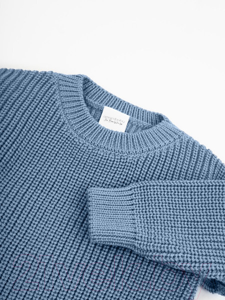 Изображение товара Джемпер для малышей Amarobaby Pure Love Buddy / AB-OD23-PLB26/19-68 (голубой, р.68)