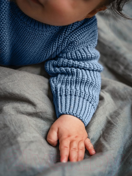 Изображение товара Джемпер для малышей Amarobaby Pure Love Buddy / AB-OD23-PLB26/19-68 (голубой, р.68)