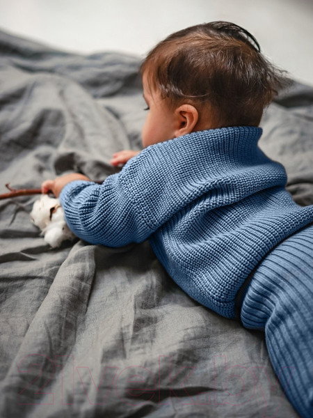 Изображение товара Джемпер для малышей Amarobaby Pure Love Buddy / AB-OD23-PLB26/19-68 (голубой, р.68)