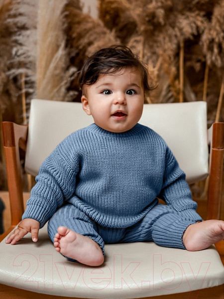 Изображение товара Джемпер для малышей Amarobaby Pure Love Buddy / AB-OD23-PLB26/19-74 (голубой, р.74)