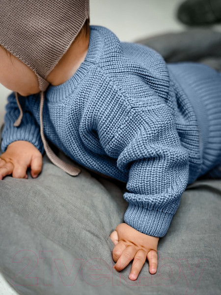 Изображение товара Джемпер для малышей Amarobaby Pure Love Buddy / AB-OD23-PLB26/19-86 (голубой, р.86)