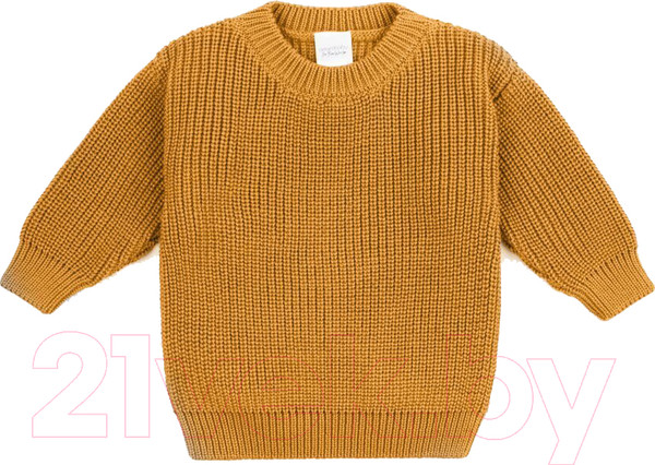 Изображение товара Джемпер для малышей Amarobaby Pure Love Buddy / AB-OD23-PLB26/41-80 (горчичный, р.80)