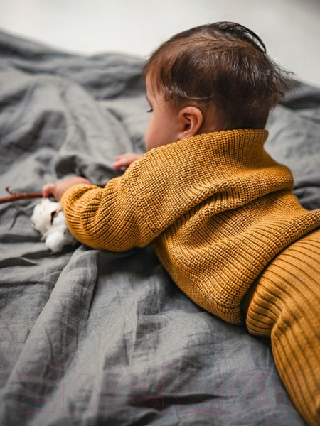 Изображение товара Джемпер для малышей Amarobaby Pure Love Buddy / AB-OD23-PLB26/41-80 (горчичный, р.80)