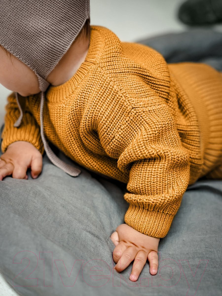 Изображение товара Джемпер для малышей Amarobaby Pure Love Buddy / AB-OD23-PLB26/41-80 (горчичный, р.80)