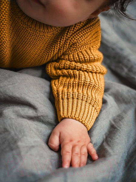 Изображение товара Джемпер для малышей Amarobaby Pure Love Buddy / AB-OD23-PLB26/41-80 (горчичный, р.80)