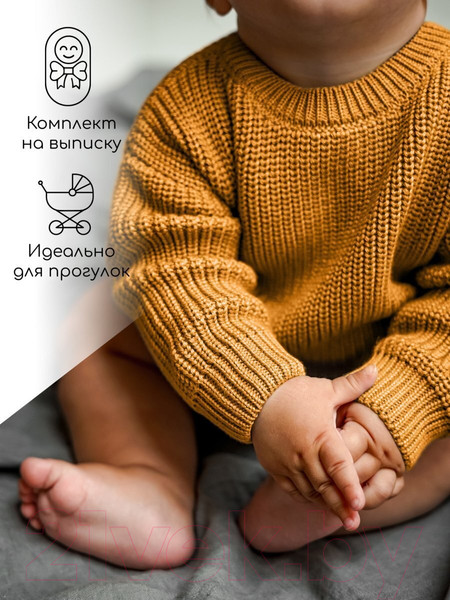 Изображение товара Джемпер для малышей Amarobaby Pure Love Buddy / AB-OD23-PLB26/41-80 (горчичный, р.80)