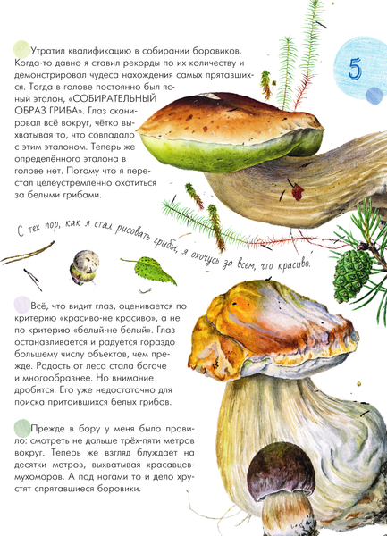 Изображение товара Энциклопедия АСТ Грибы в лесу, твердая обложка (Уханова Ирина)