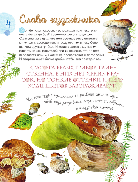 Изображение товара Энциклопедия АСТ Грибы в лесу, твердая обложка (Уханова Ирина)