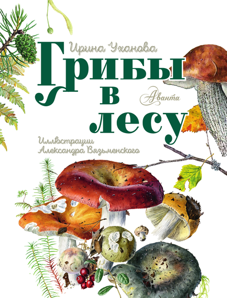 Изображение товара Энциклопедия АСТ Грибы в лесу, твердая обложка (Уханова Ирина)