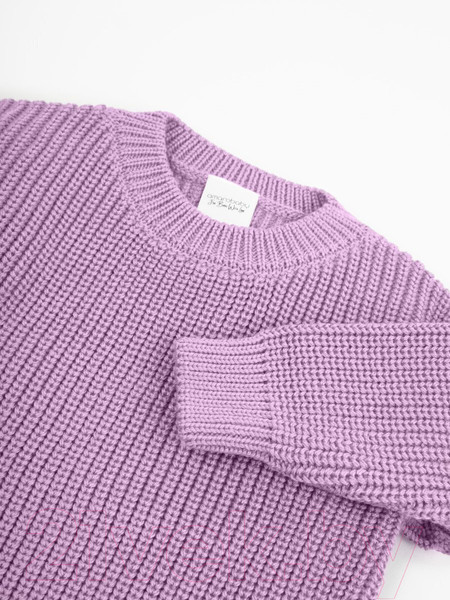 Изображение товара Джемпер для малышей Amarobaby Pure Love Buddy / AB-OD23-PLB26/42-74 (лиловый, р.74)