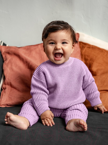 Изображение товара Джемпер для малышей Amarobaby Pure Love Buddy / AB-OD23-PLB26/42-74 (лиловый, р.74)