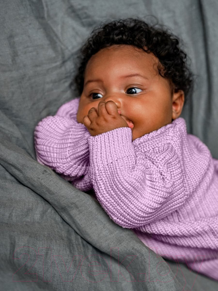 Изображение товара Джемпер для малышей Amarobaby Pure Love Buddy / AB-OD23-PLB26/42-74 (лиловый, р.74)