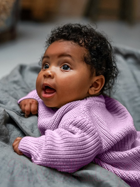 Изображение товара Джемпер для малышей Amarobaby Pure Love Buddy / AB-OD23-PLB26/42-74 (лиловый, р.74)