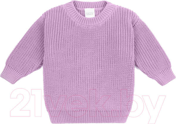 Изображение товара Джемпер для малышей Amarobaby Pure Love Buddy / AB-OD23-PLB26/42-86 (лиловый, р.86)