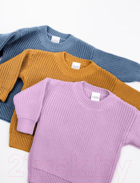 Изображение товара Джемпер для малышей Amarobaby Pure Love Buddy / AB-OD23-PLB26/42-86 (лиловый, р.86)
