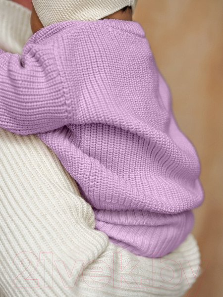 Изображение товара Джемпер для малышей Amarobaby Pure Love Buddy / AB-OD23-PLB26/42-86 (лиловый, р.86)