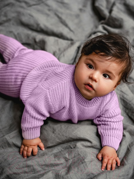 Изображение товара Джемпер для малышей Amarobaby Pure Love Buddy / AB-OD23-PLB26/42-86 (лиловый, р.86)