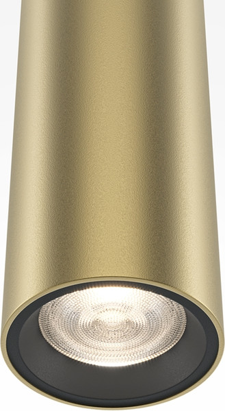 Изображение товара Потолочный светильник Maytoni Pro Base MOD159PL-L6GK