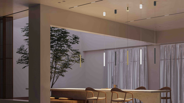 Изображение товара Потолочный светильник Maytoni Pro Base MOD159PL-L6GK