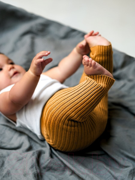 Изображение товара Штаны для малышей Amarobaby Pure Love Comfy / AB-OD23-PLС6/41-74 (горчичный, р.74)