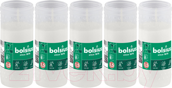 Изображение товара Набор свечей Bolsius Ритуальные масляные rp15 1.5 дня горения (белый)