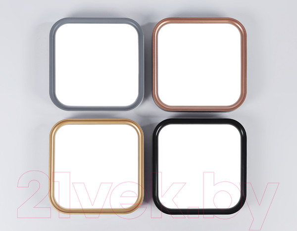 Изображение товара Потолочный светильник Ambrella FZ1262 BK (черный)