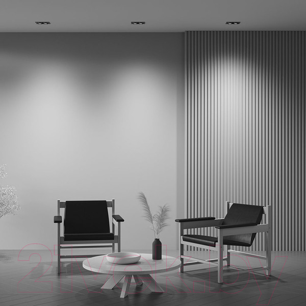 Изображение товара Точечный светильник Maytoni Hidden DL045-02-10W3K-B