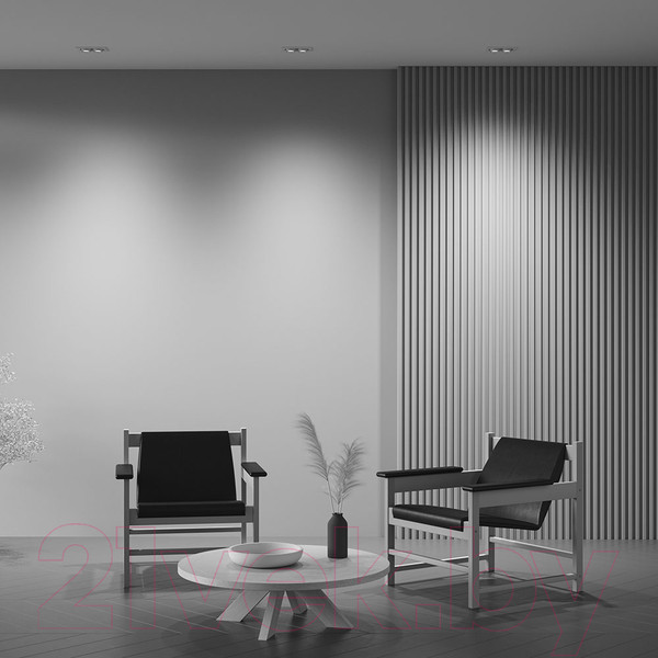 Изображение товара Точечный светильник Maytoni Hidden DL045-02-10W4K-W