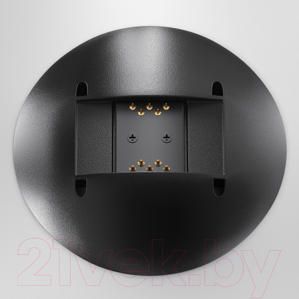 Изображение товара Потолочный светильник Maytoni Campana TR127B-12W3K-W