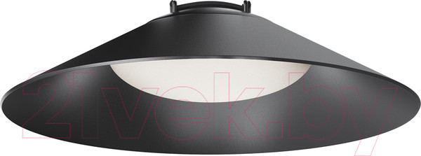 Изображение товара Потолочный светильник Maytoni Campana TR127B-12W4K-B