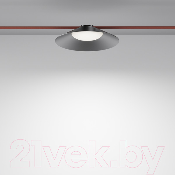 Изображение товара Потолочный светильник Maytoni Campana TR127B-12W4K-B