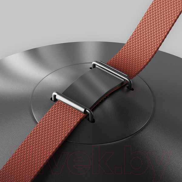 Изображение товара Потолочный светильник Maytoni Campana TR127B-12W4K-B