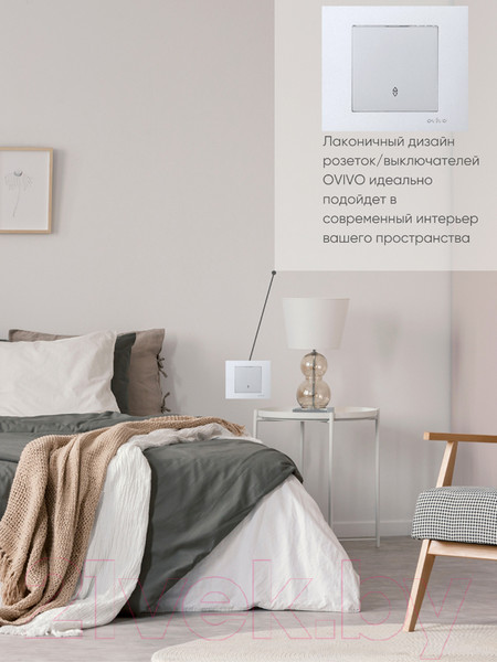 Изображение товара Выключатель Ovivo 600-000210-209 (серебристый)