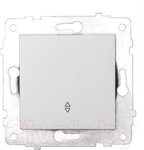 Изображение товара Выключатель Ovivo 600-000210-209 (серебристый)