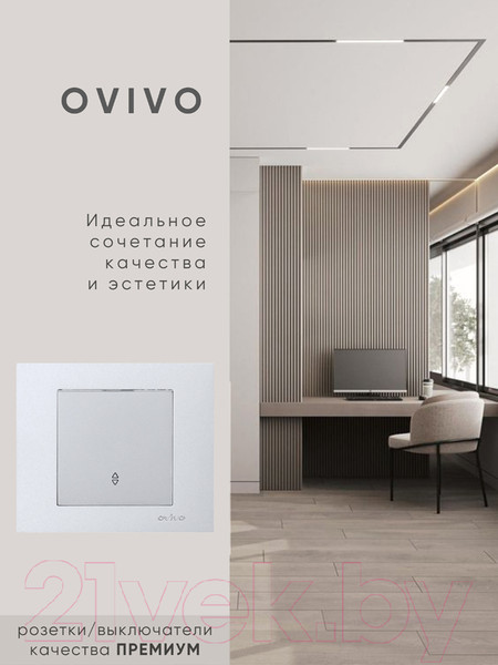 Изображение товара Выключатель Ovivo 600-000210-209 (серебристый)