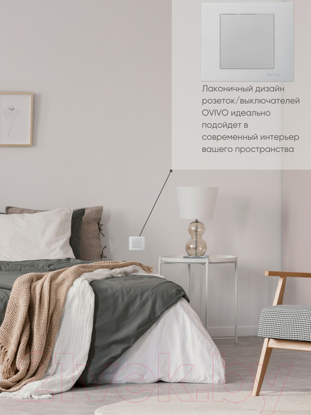 Изображение товара Выключатель Ovivo 600-000210-200 (серебристый)