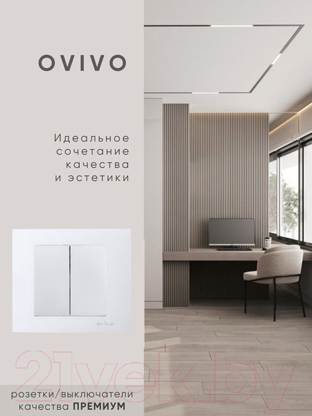 Изображение товара Выключатель Ovivo 600-000210-202 (серебристый)