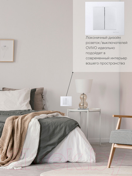 Изображение товара Выключатель Ovivo 600-000210-202 (серебристый)