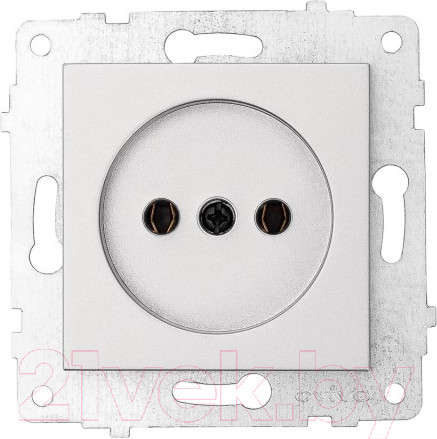 Изображение товара Розетка Ovivo 600-000310-215 (серебристый)