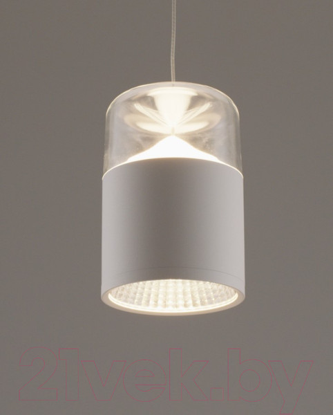 Изображение товара Потолочный светильник Moderli Rinna / V10865-PL