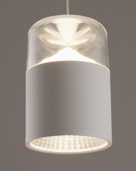 Изображение товара Потолочный светильник Moderli Rinna / V10865-PL