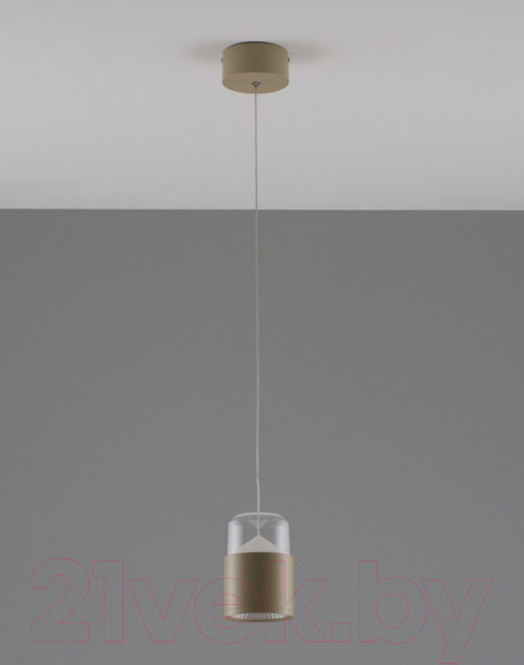 Изображение товара Потолочный светильник Moderli Rinna / V10867-PL