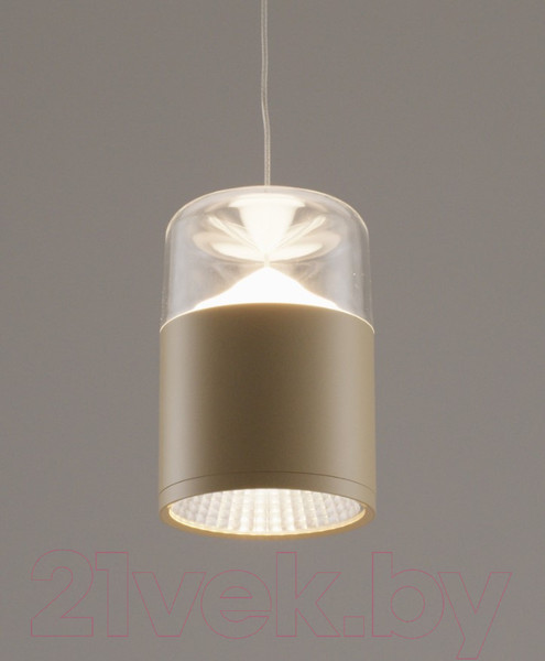 Изображение товара Потолочный светильник Moderli Rinna / V10867-PL