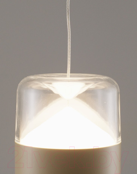 Изображение товара Потолочный светильник Moderli Rinna / V10867-PL