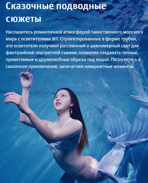 Изображение товара Осветитель студийный Godox Dive Light WT25D для подводной съемки / 30437