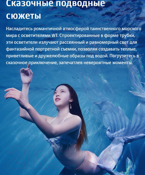 Изображение товара Осветитель студийный Godox Dive Light WT60D для подводной съемки / 30439