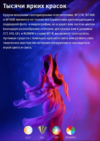 Изображение товара Осветитель студийный Godox Dive Light WT60D для подводной съемки / 30439